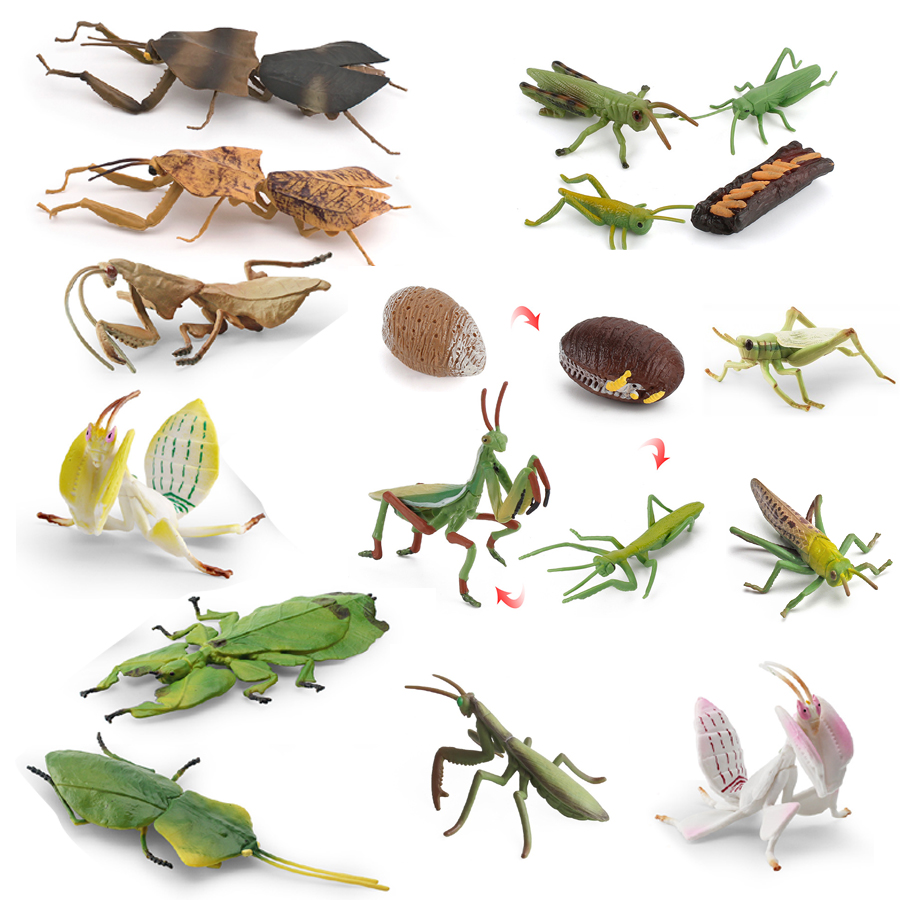 Realistic Orchid Mantis Dead L - Home Improvement Kids recension och pris