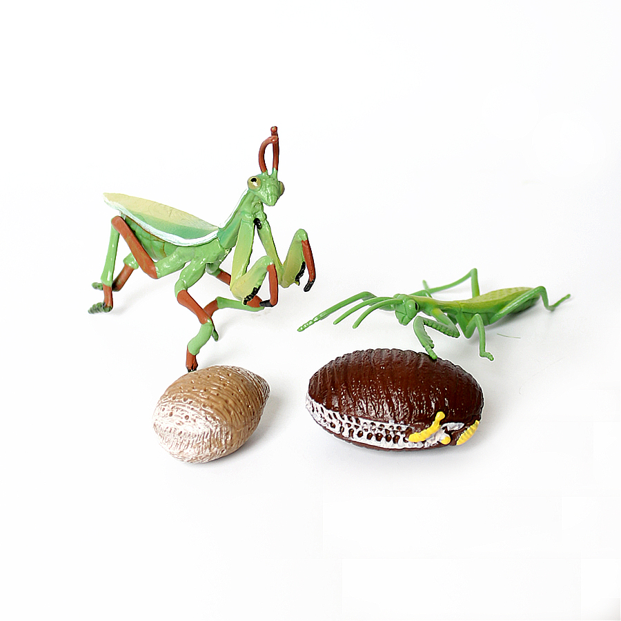 Realistic Orchid Mantis Dead L - Home Improvement Kids recension och pris